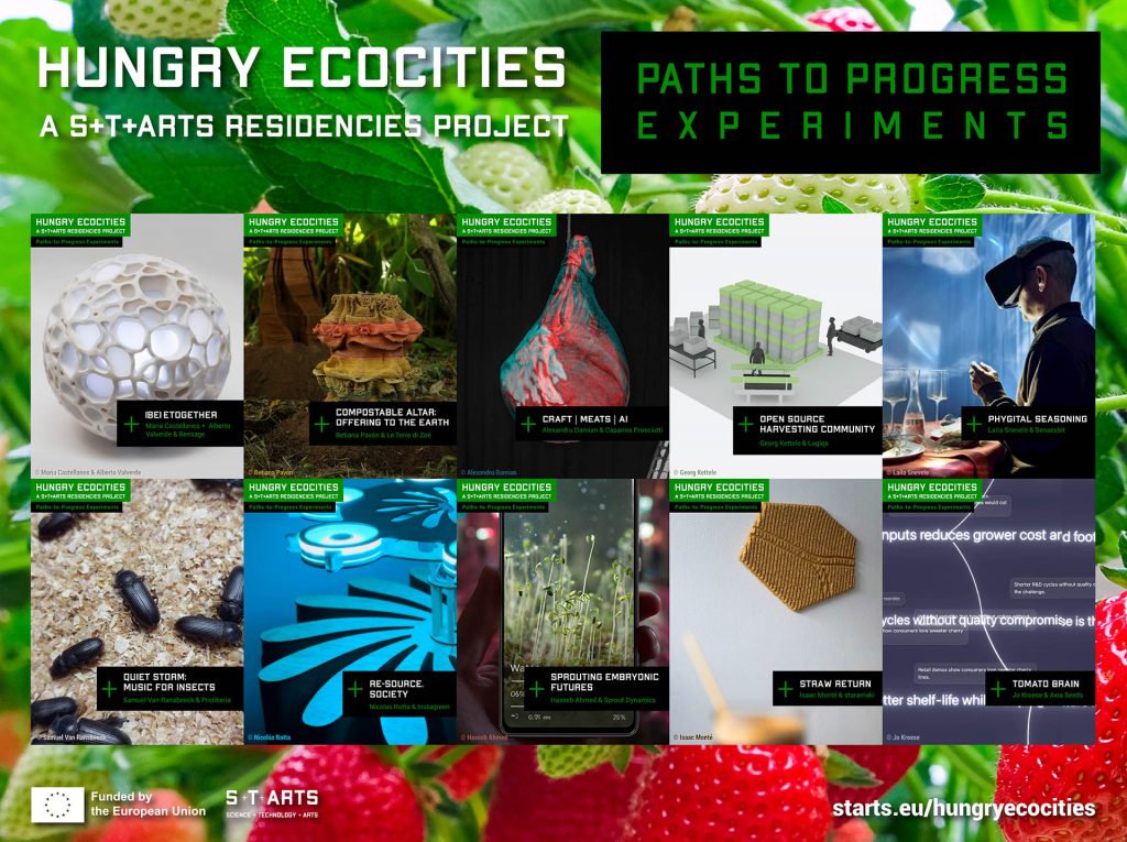 Hungry Ecocities Paths to Progress Experiments Overview