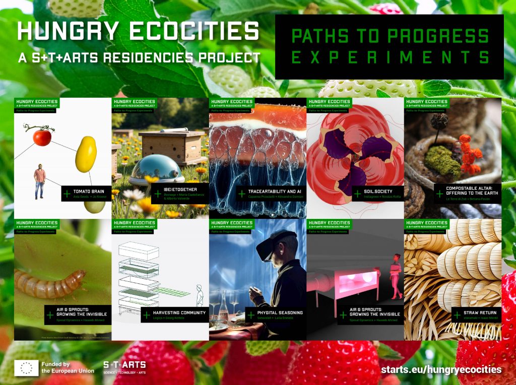 Hungry Ecocities Paths to Progress Experiments 2nd Open Call (2nd phase) selected Artists