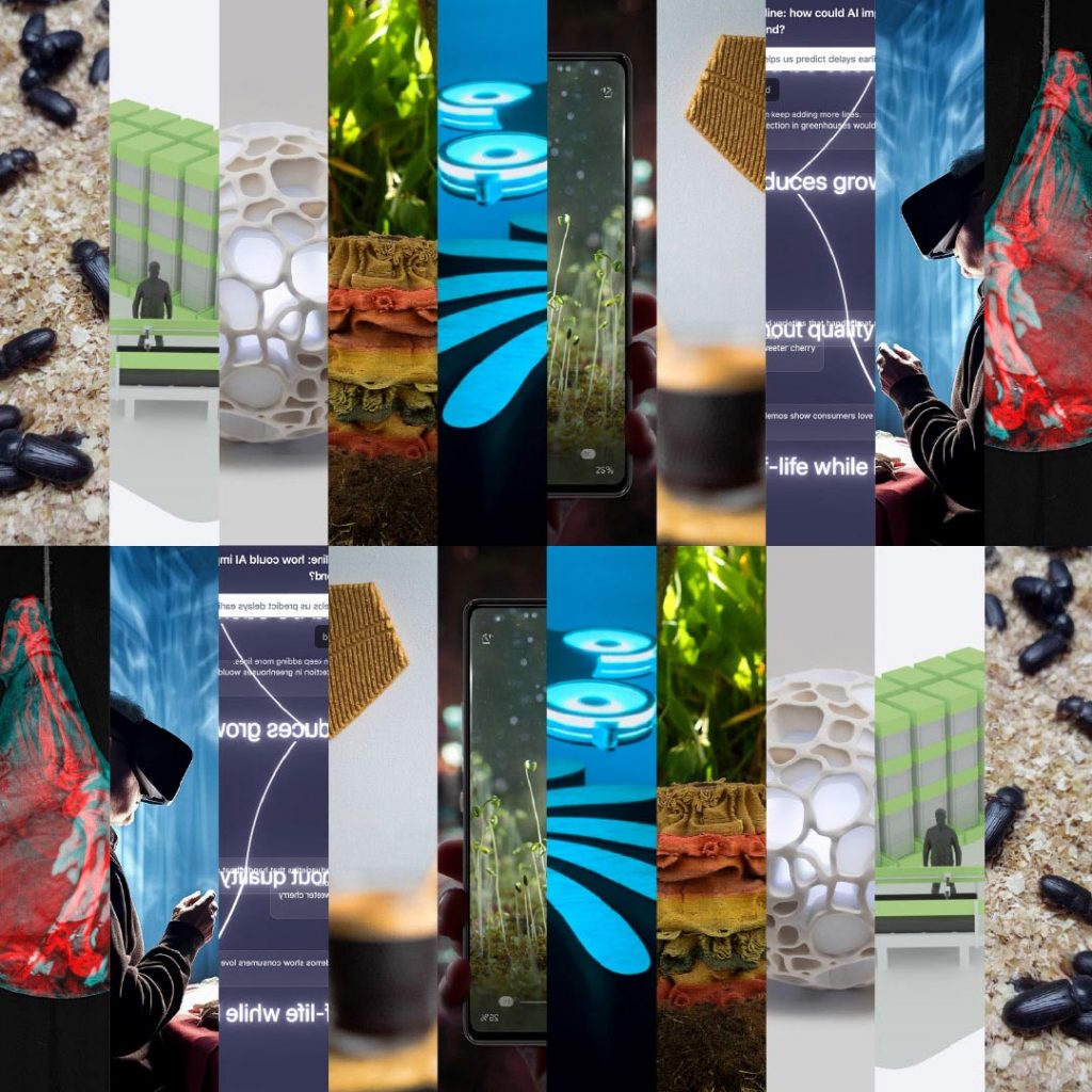 Paths to Progress Experiments Culminated with an Insightful Wrap Up Event