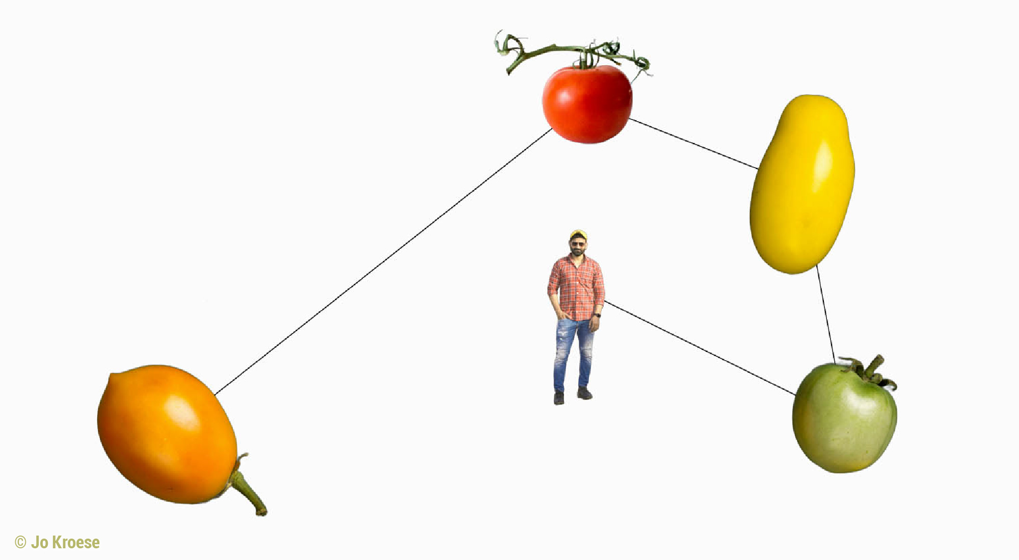 Tomato Brain by Jo Kroese
