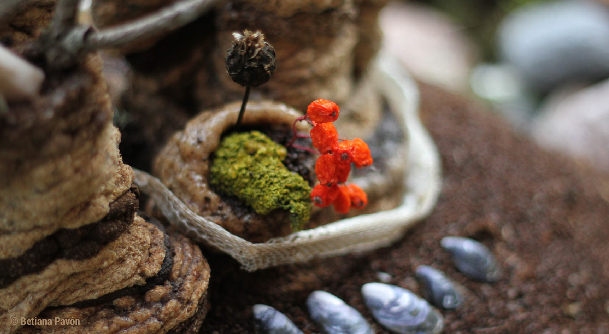 Compostable Altar: Offering to the Earth, by betiana Pavón