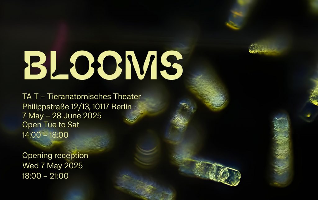 S+T+ARTS ReSilence BLOOMS