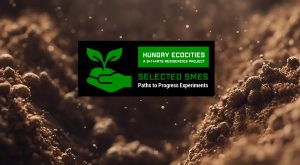 Hungry Ecocities Paths to Progress Experiments