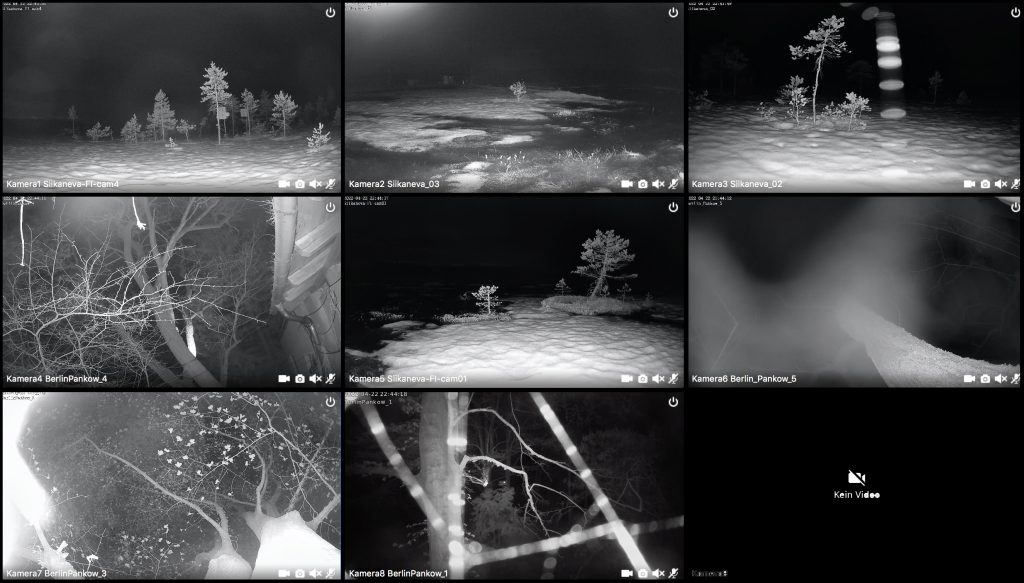 HaveATeaWithAtree_FoscamCams©AgnesMeyer-Brandis