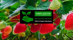 Hungry Ecocities Paths to Progress Experiments 2nd Open Call (2nd phase) selected Artists