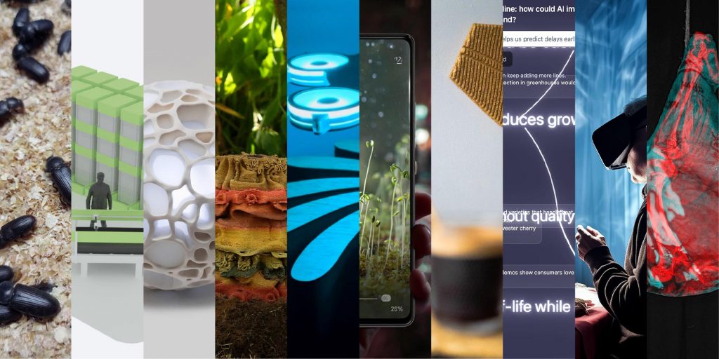 Paths to Progress Experiments Culminated with an Insightful Wrap Up Event