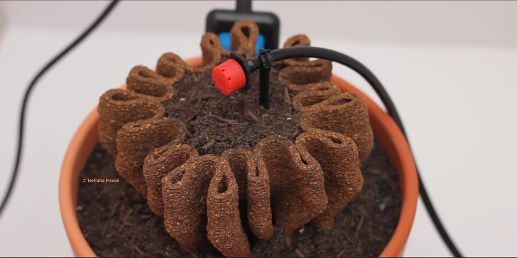 Hungry Ecocities Paths to progress Experiments Update - Image by Betiana Pavón