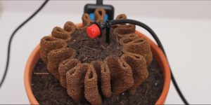 Hungry Ecocities Paths to progress Experiments Update - Image by Betiana Pavón
