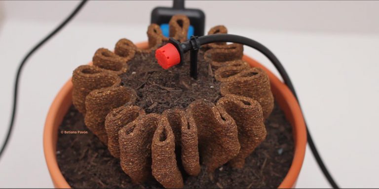 Hungry Ecocities Paths to progress Experiments Update - Image by Betiana Pavón