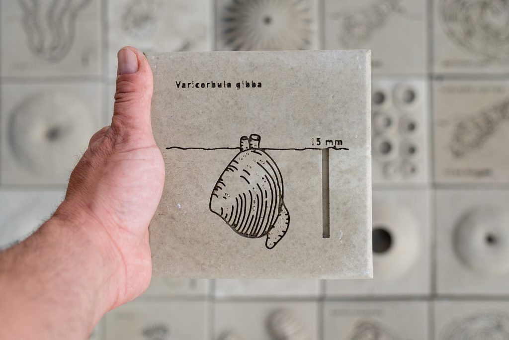 Hypercomf - Sediment Lab