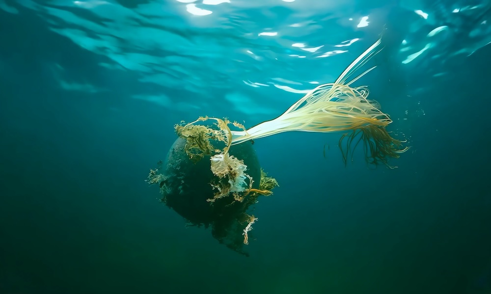 VIDEO_STILL_01_PETROENTANGELMENTS_KASIA_MOLGA_1000