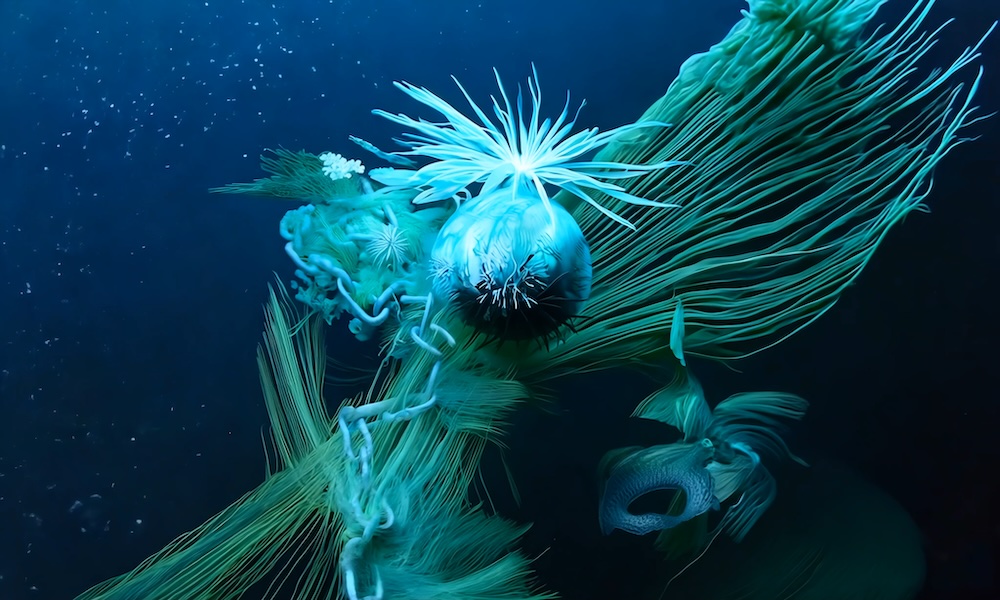 Kasia Molga -PETROENTANGELMENTS