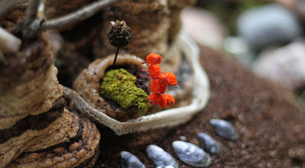 Compostable Altar: Offering to the Earth, by betiana Pavón