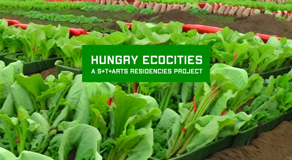 S+T+ARTS Hungry Ecocities