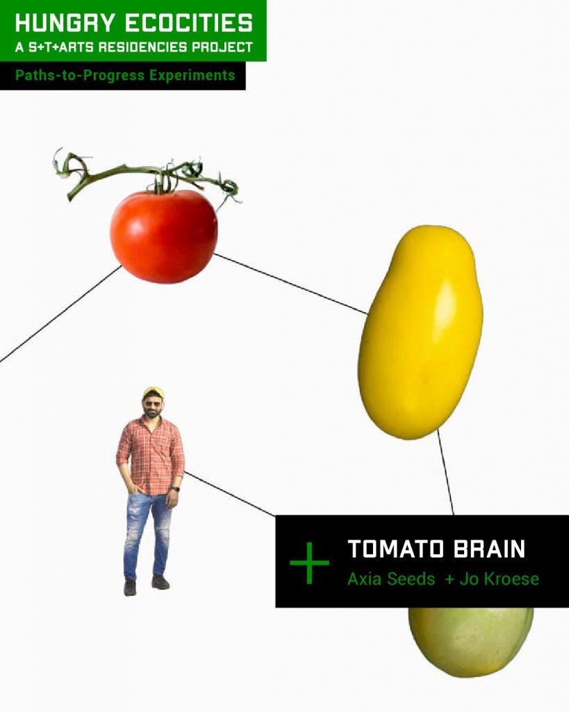 Tomato Brain - Axia Seeds (NL) Vegetable seeds + Jo Kroese (NL)