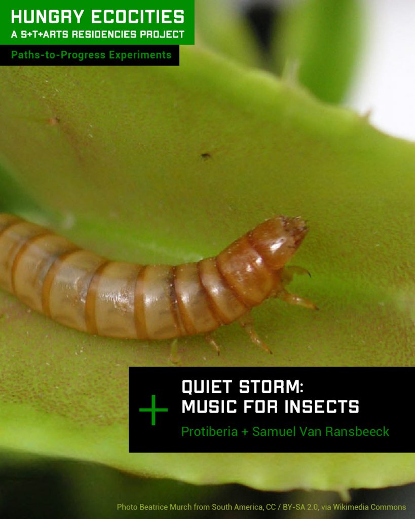 Quiet Storm: Music for Insects - Protiberia (ES) Insect farming + Samuel Van Ransbeeck (BE)