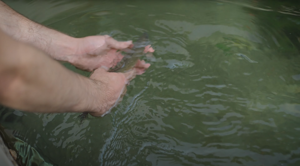 rete fiumi_5_ph Tommaso Parise rete fiumi_5_ph Tommaso Parise